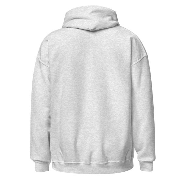 unisex-heavy-blend-hoodie-ash-back-69121f698fb16.jpg