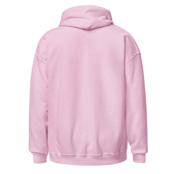unisex-heavy-blend-hoodie-light-pink-back-69121cf43a514.jpg