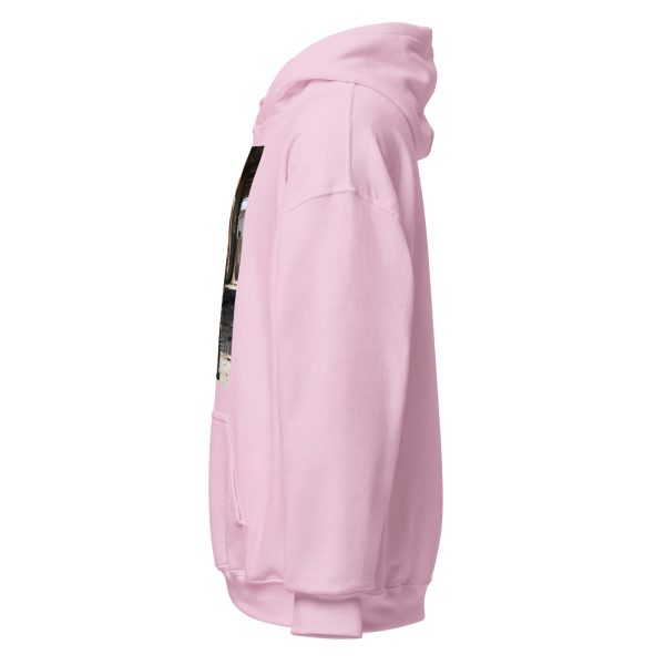 unisex-heavy-blend-hoodie-light-pink-left-69121f699042a.jpg
