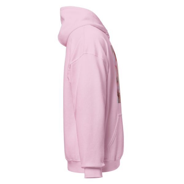 unisex-heavy-blend-hoodie-light-pink-right-69121ca2dcd05.jpg